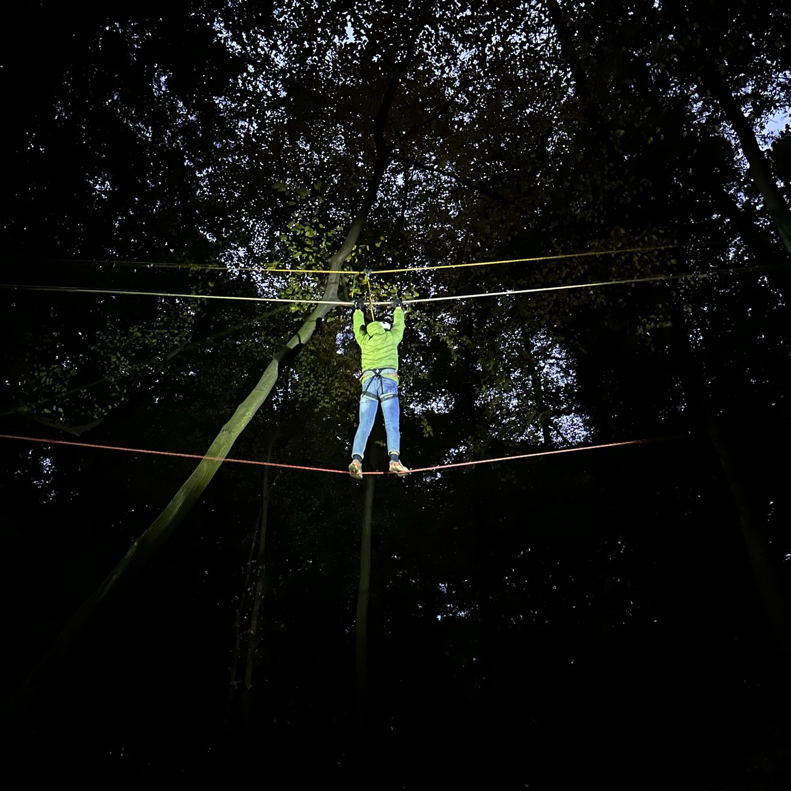 Hoch über dem Waldboden: Ein Teilnehmer balanciert über die Seilbrücke.